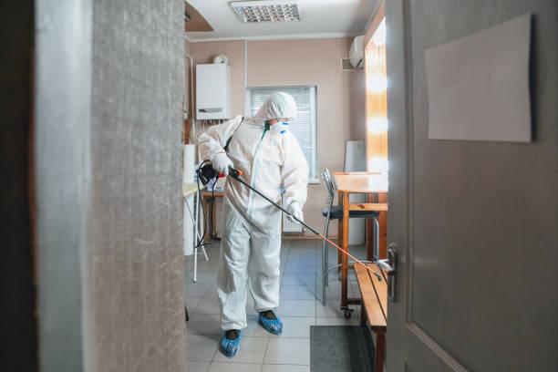Best Biohazard Mold Removal  in Haledon, NJ