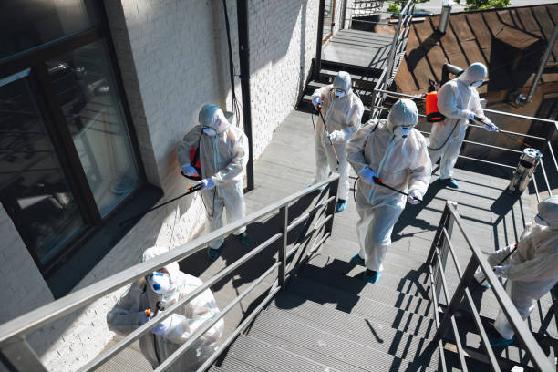 Environmental Consulting for Mold Prevention in Haledon, NJ