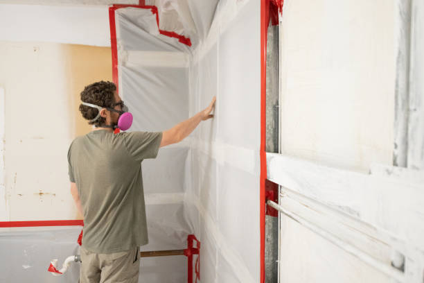 Best Environmental Consulting for Mold Prevention  in Haledon, NJ