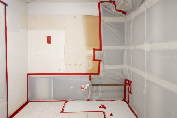 Best Commercial Mold Inspection  in Haledon, NJ