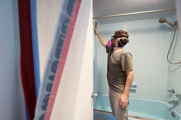 Best Industrial Mold Remediation  in Haledon, NJ