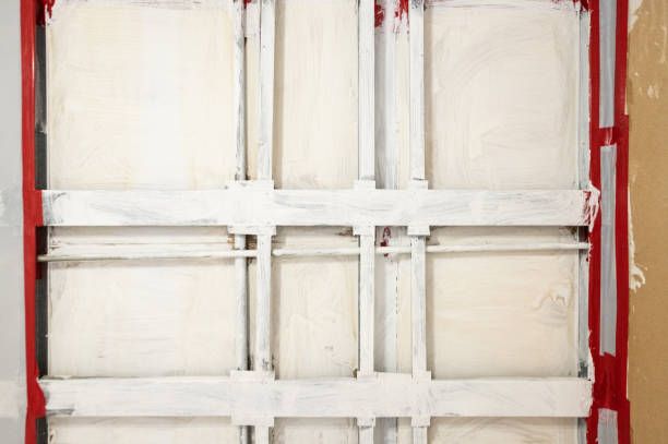 Best Mold Damage Restoration  in Haledon, NJ