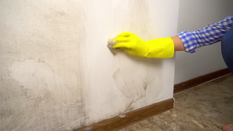 Best Post-Remediation Verification Testing  in Haledon, NJ