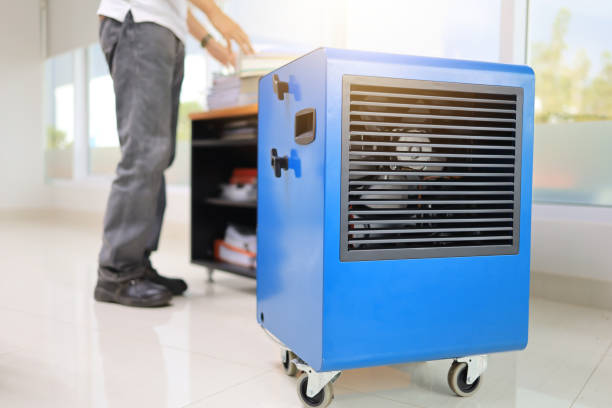Reliable Haledon, NJ Mold Removal Solutions