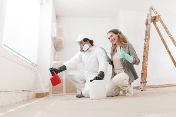 Best Post-Construction Mold Inspection  in Haledon, NJ