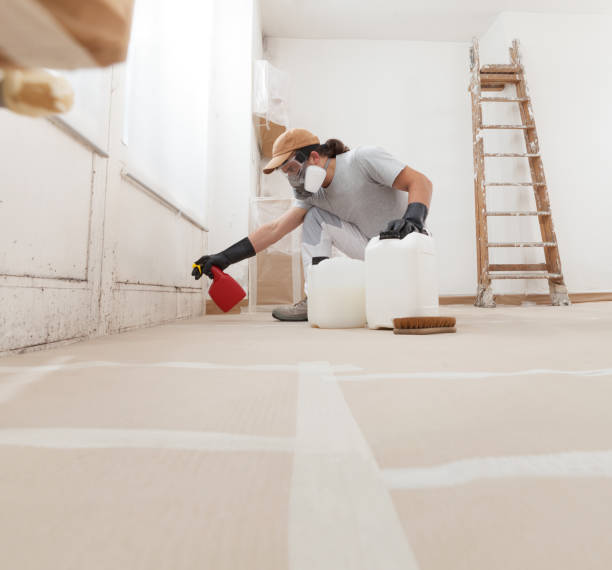 Best Mold-Related Health Consultation  in Haledon, NJ