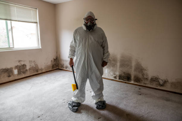 Best Crawl Space Mold Remediation  in Haledon, NJ